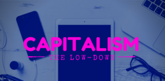 Capitalism The Low Down