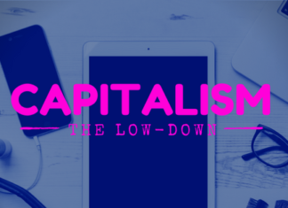 Capitalism The Low Down