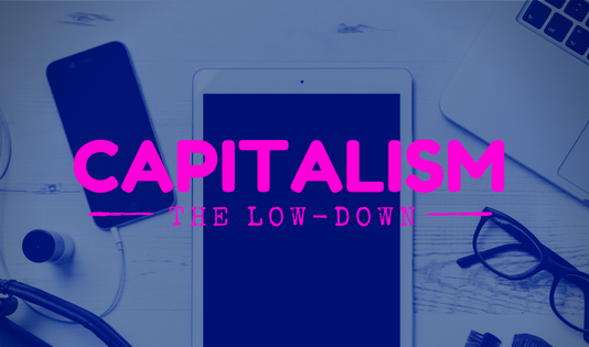 Capitalism The Low Down